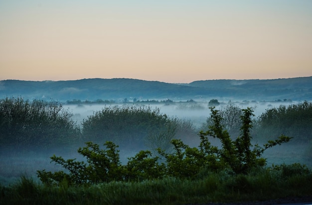 Foto paisagem do amanhecer no campo, nascer do sol amarelo com neblina no verão