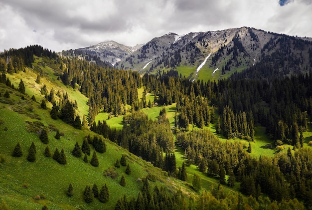 Foto paisagem do belo vale da montanha