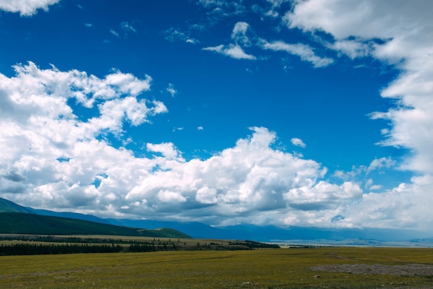 Paisagem do céu azul acima de um campo verde