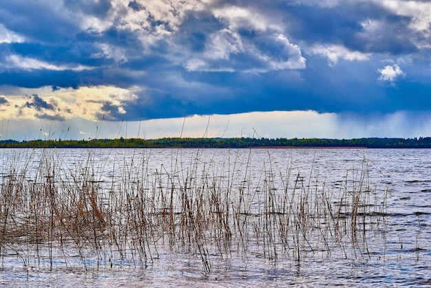 Paisagem do céu nublado de tempestade e lago azul com árvores em terra e uma grama de cana na água