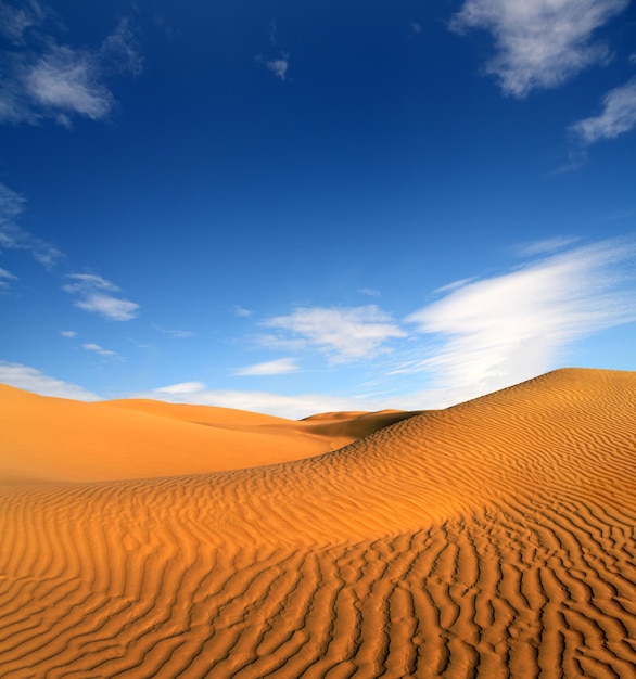 Paisagem do deserto à noite