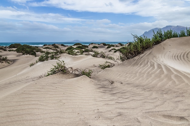 Paisagem do deserto com o oceano e as montanhas