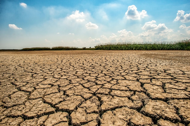 Foto paisagem do deserto com terra rachada