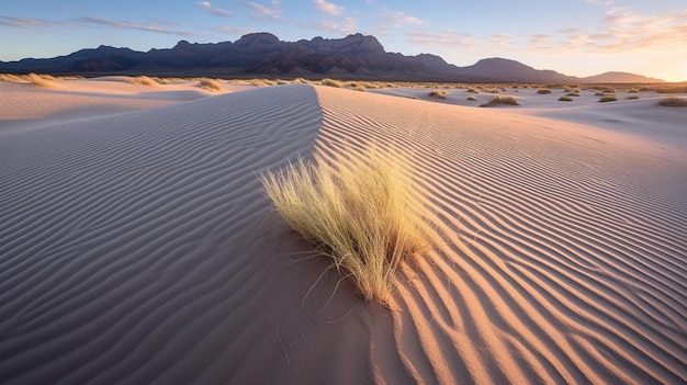 Paisagem do deserto com uma paisagem desértica e montanhas ao fundo