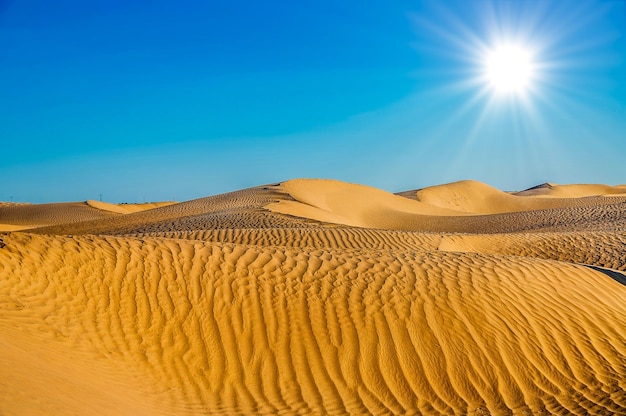 Paisagem do deserto da Tunísia com fundo de dunas de céu azul