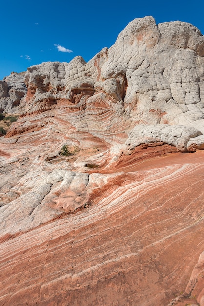 Paisagem do deserto de rocha, bolso branco no arizona