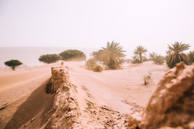 Foto paisagem do deserto