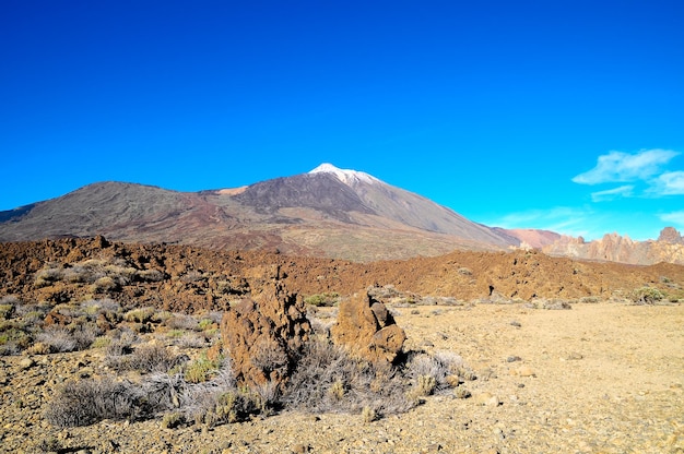 paisagem do deserto