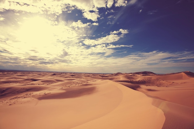 Paisagem do deserto