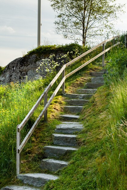 Paisagem do fiorde norueguês no verão