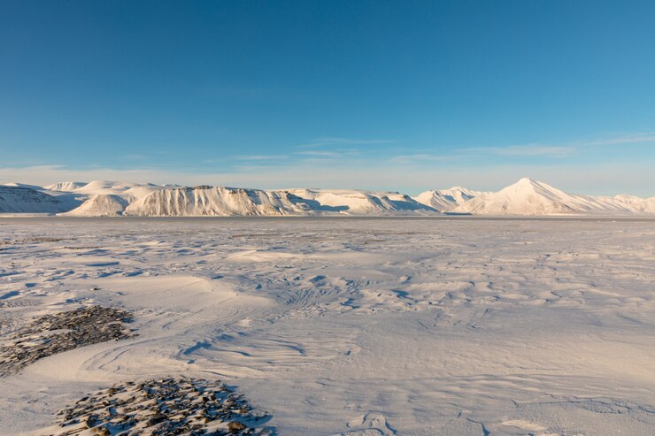 Paisagem do inverno ártico com fiorde congelado e montanhas cobertas de neve em Svalbard, Noruega