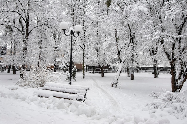 Paisagem do inverno com árvores e neve no parque da cidade. árvores são cov