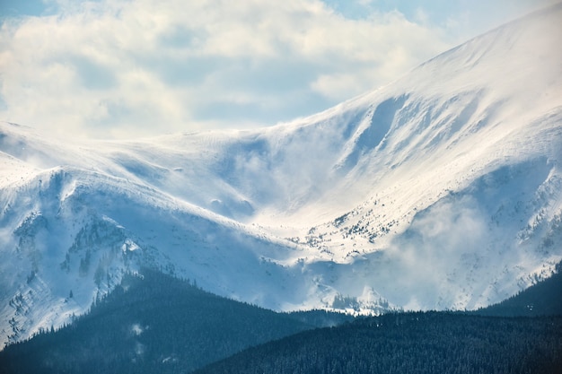 Paisagem do inverno com colinas de alta montanha cobertas por uma floresta de pinheiros perenes, após forte nevasca em um dia frio de inverno.