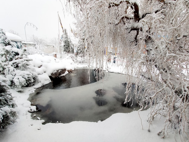 Paisagem do inverno com lago e árvores.