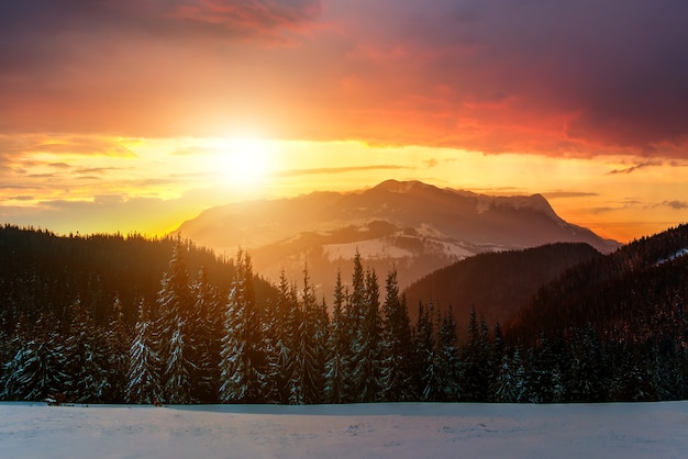 Paisagem do inverno com picos altos e vale nebuloso sob o céu da noite do pôr do sol colorido vibrante nas montanhas rochosas.