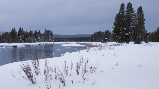 Paisagem do inverno com rio congelado no parque nacional great teton.