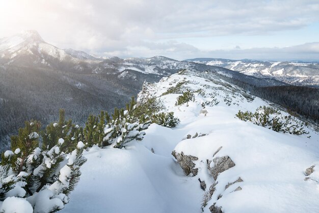 Paisagem do inverno das montanhas Tatry no inverno, Polónia. . Foto de alta qualidade