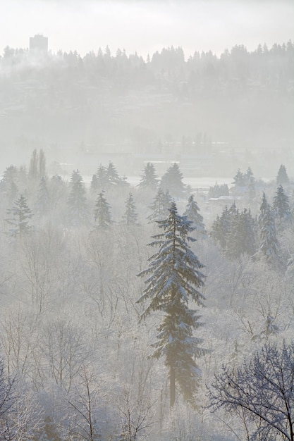 Paisagem do inverno Fraser River View na Colúmbia Britânica Canadá