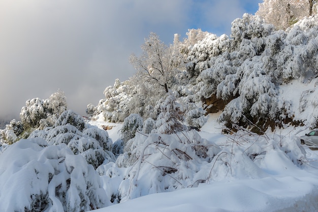 Paisagem do inverno na montanha de manhã