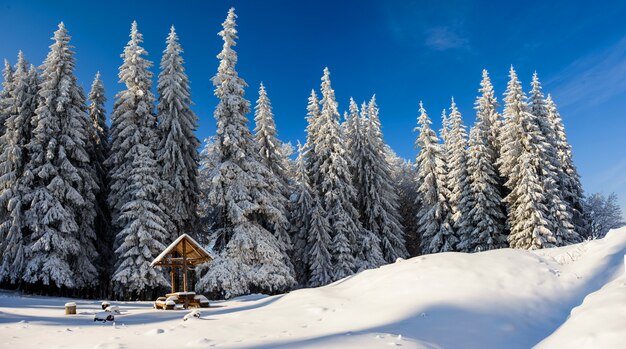 Paisagem do inverno nas montanhas