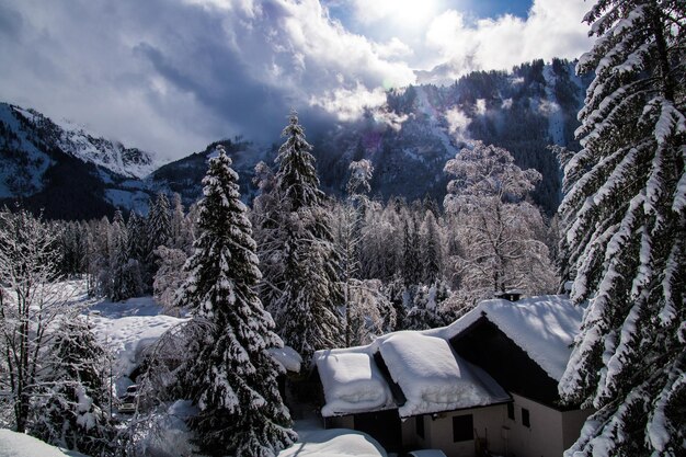 Paisagem do inverno nos alpes franceses