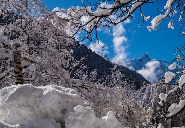 Paisagem do inverno nos alpes franceses