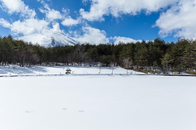 Paisagem do inverno