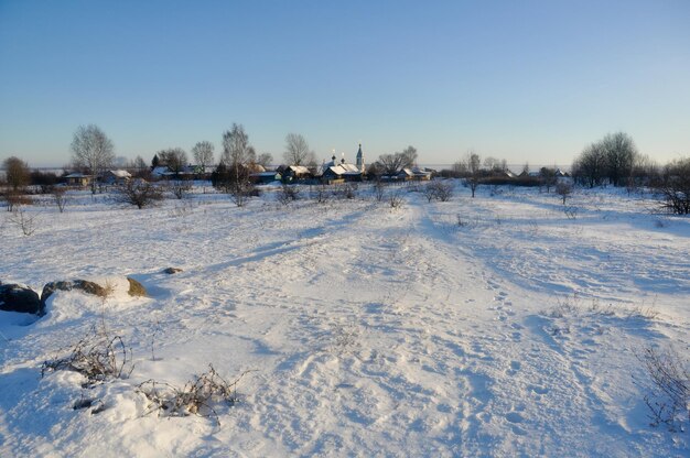 Paisagem do inverno