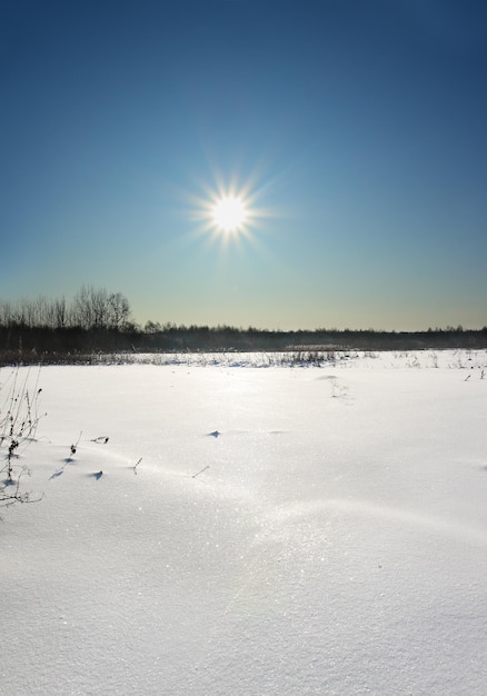 Paisagem do inverno