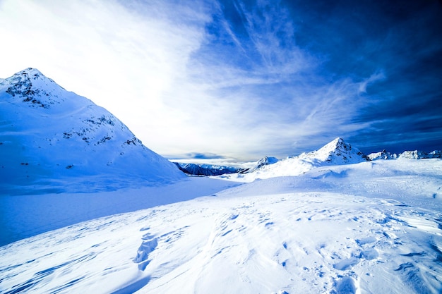 Paisagem do inverno