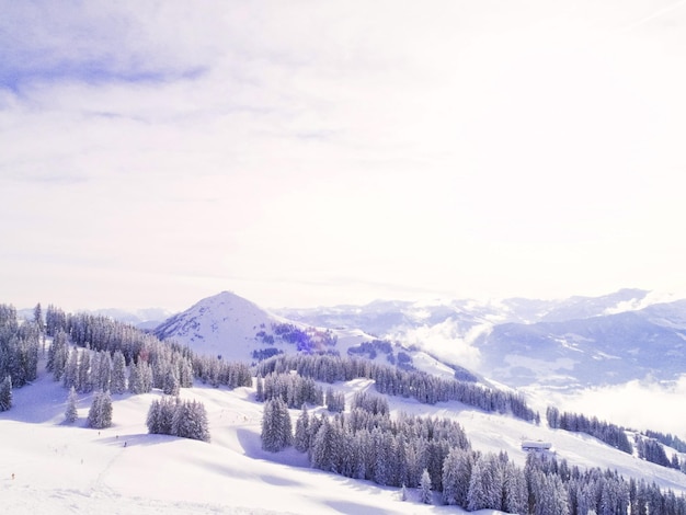 Paisagem do inverno