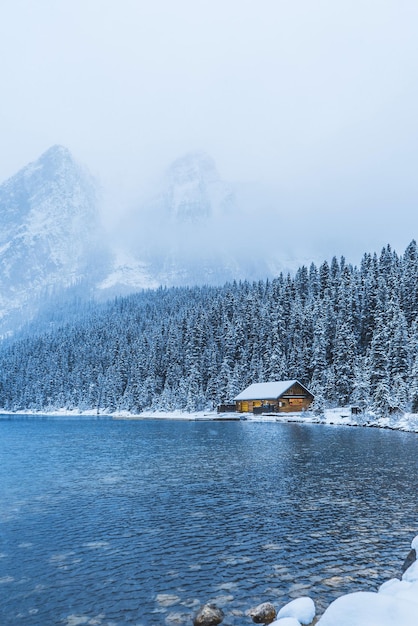 Paisagem do inverno