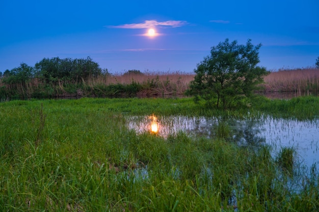 Paisagem do lago azul à noite com lua cheia no céu azul escuro