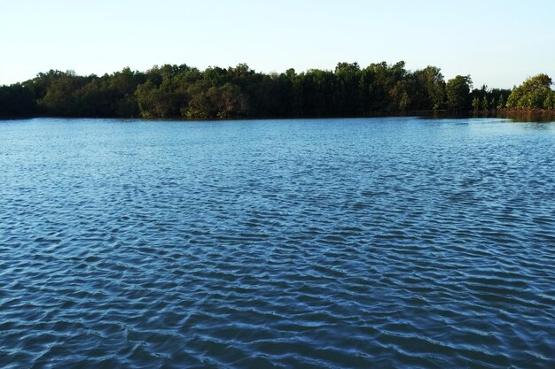 Paisagem do lago com árvores e céu azul ao fundo