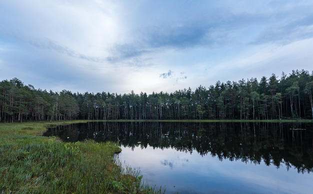 Paisagem do lago da floresta na Europa