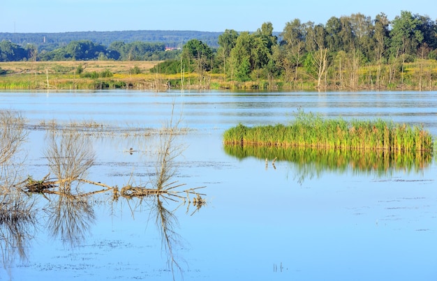 Paisagem do lago de verão à noite com reflexos de plantas na superfície da água (perto do assentamento de Shklo, Lviv Oblast, Ucrânia).