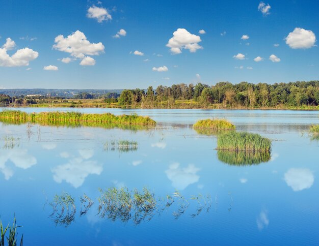 Paisagem do lago de verão à noite