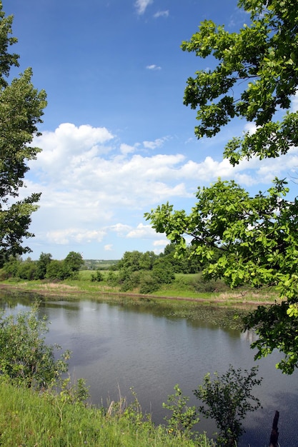 Paisagem do lago de verão