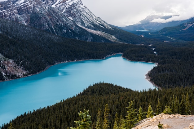 Paisagem do Lago Peyto assemelha-se a raposa no Parque Nacional de Banff