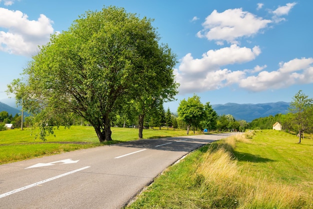 Paisagem do Montenegro