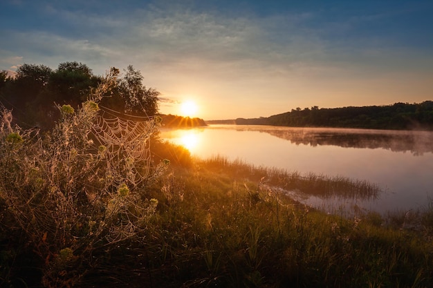 Paisagem do nascer do sol com plantas cobertas de teias de aranha na margem do rio Don River Rússia