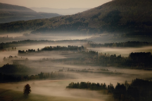 Foto paisagem do nascer do sol nebuloso no sopé da colina na alemanha suíça saxônica