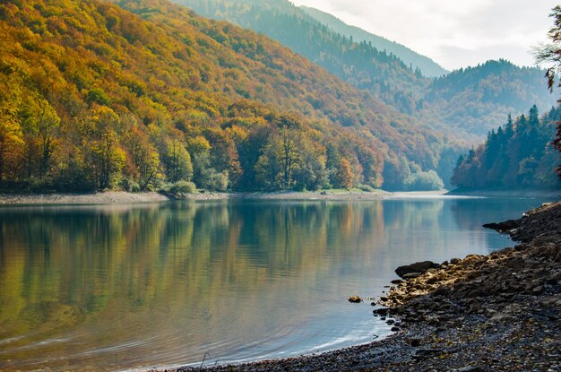 Paisagem do outono em um lago de montanhaAs folhas amareladas das faias são refletidas na água