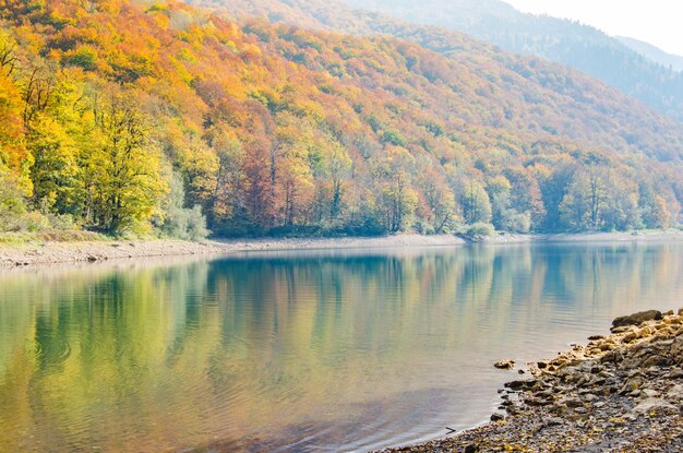 Paisagem do outono em um lago de montanhaAs folhas amareladas das faias são refletidas na água