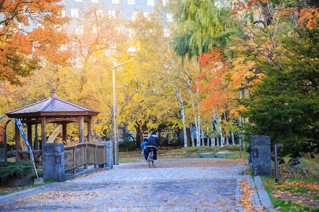 Paisagem do outono no parque de Nakajima, cidade de Sapporo, Japão.