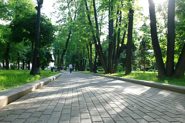 paisagem do parque de verão / vista sazonal, árvores verdes no verão, caminhada pela natureza do conceito, ecologia, eco