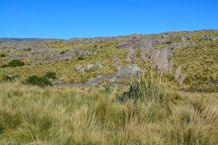 Foto paisagem do parque nacional quebrada del condorito província de córdoba, argentina