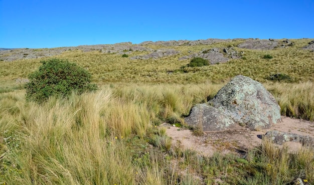 Paisagem do Parque Nacional Quebrada del Condorito Província de Córdoba, Argentina