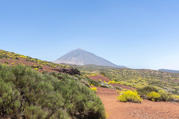 Paisagem do parque nacional tedie na ilha de Tenerife Espanha