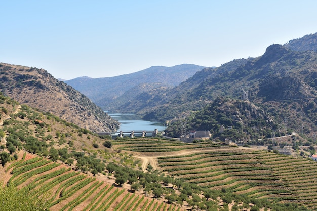 Paisagem do parque natural do douro internacional perto da barragem de saucelle, portugal